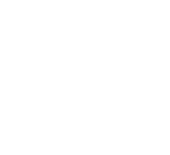 Sinaptix